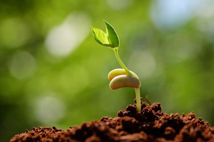 Planting the Seed | 5 PR Lessons From ‘Earth Day’
