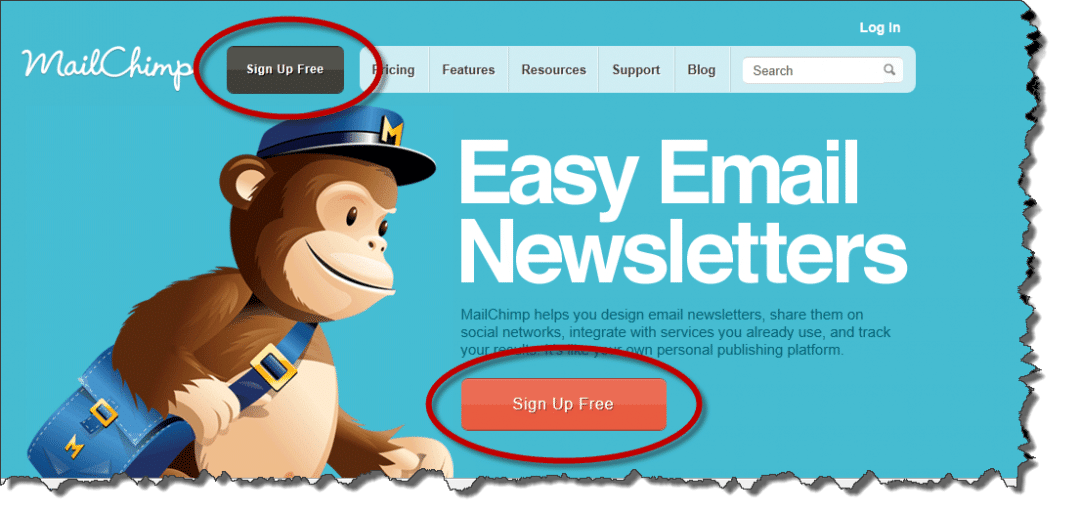 MailChimp call to action button
